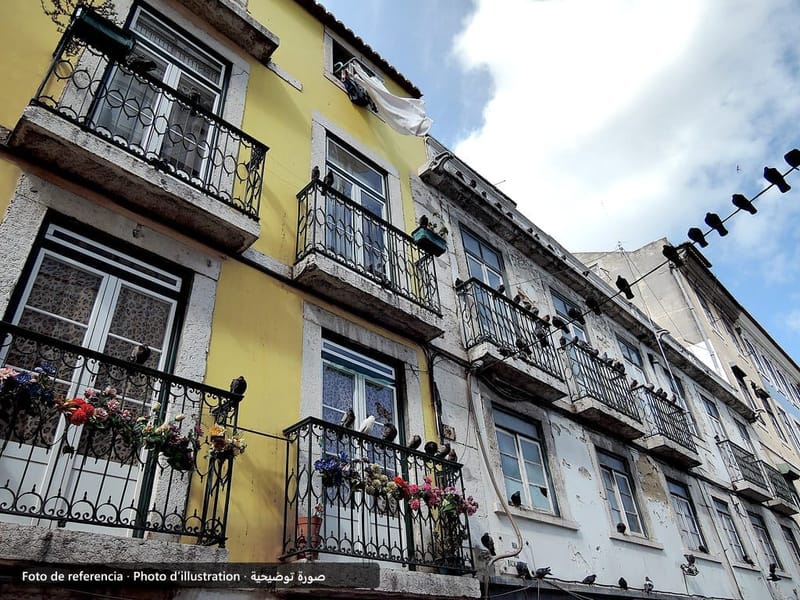 Maison de location à Oued Zem · Oued Zem